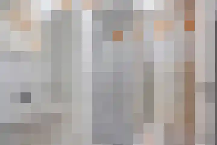 Graaf van Bloisstraat 44 Gouda thumbnail 23