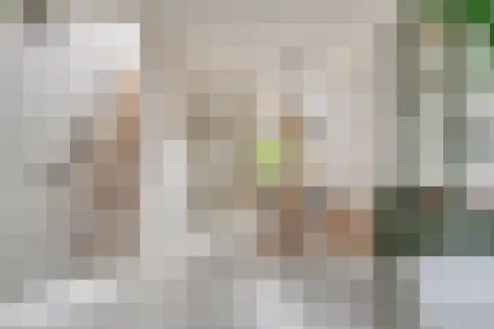 Graaf van Bloisstraat 60 Gouda thumbnail 12