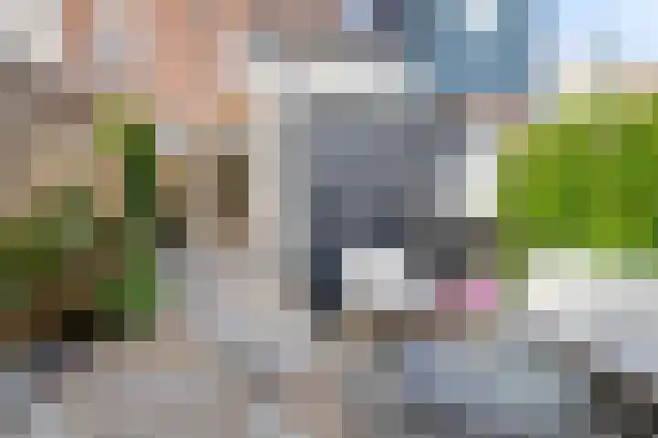 Graaf van Bloisstraat 60 Gouda thumbnail 19