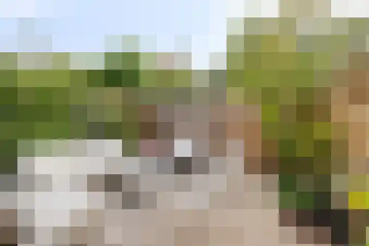 Graaf van Bloisstraat 60 Gouda thumbnail 5
