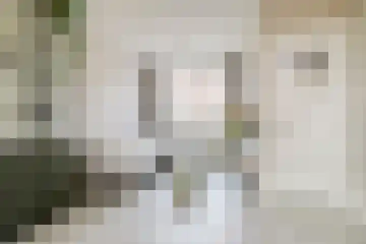 Graaf van Bloisstraat 60 Gouda thumbnail 8