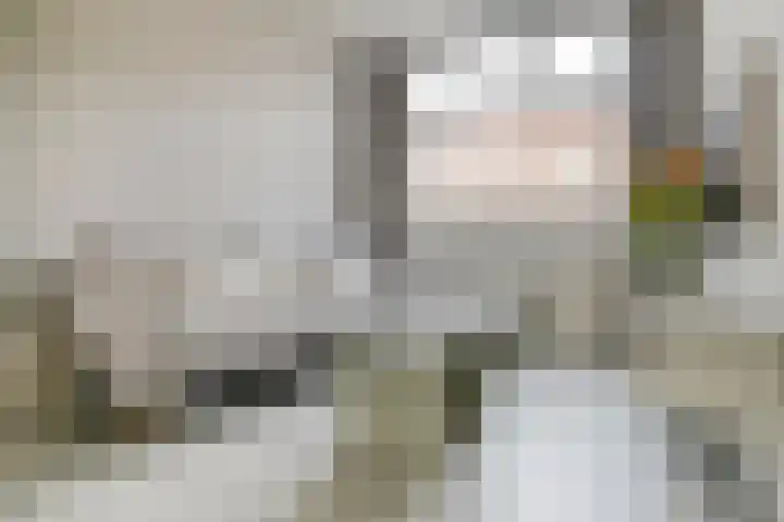 Graaf van Bloisstraat 60 Gouda thumbnail 9
