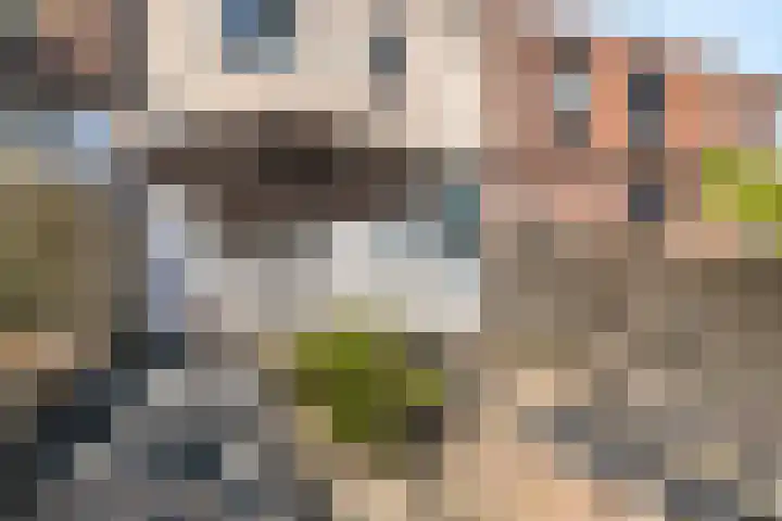 Graaf van Bloisstraat 64 Gouda thumbnail 18