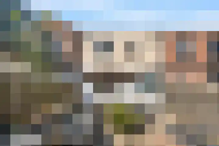 Graaf van Bloisstraat 64 Gouda thumbnail 19