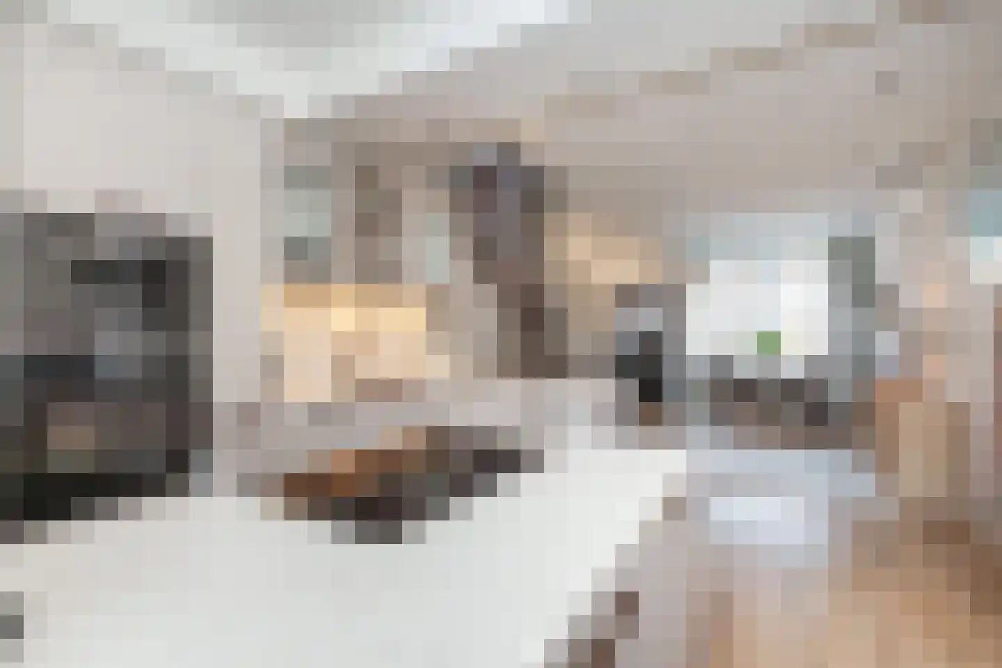 Graaf van Bloisstraat 65 in Gouda