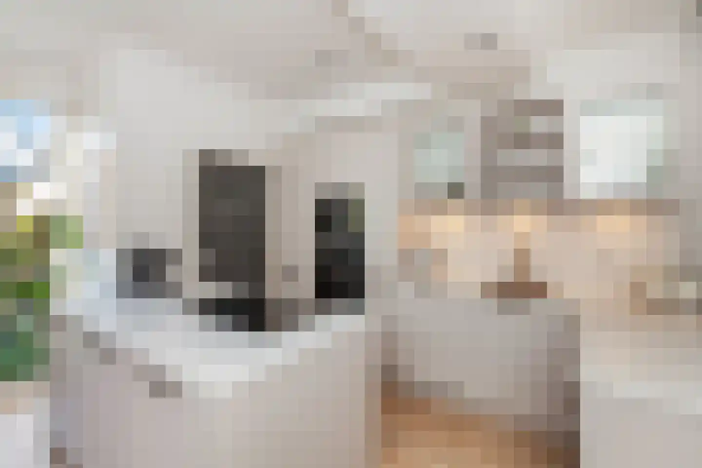 Graaf van Bloisstraat 65 Gouda thumbnail 10