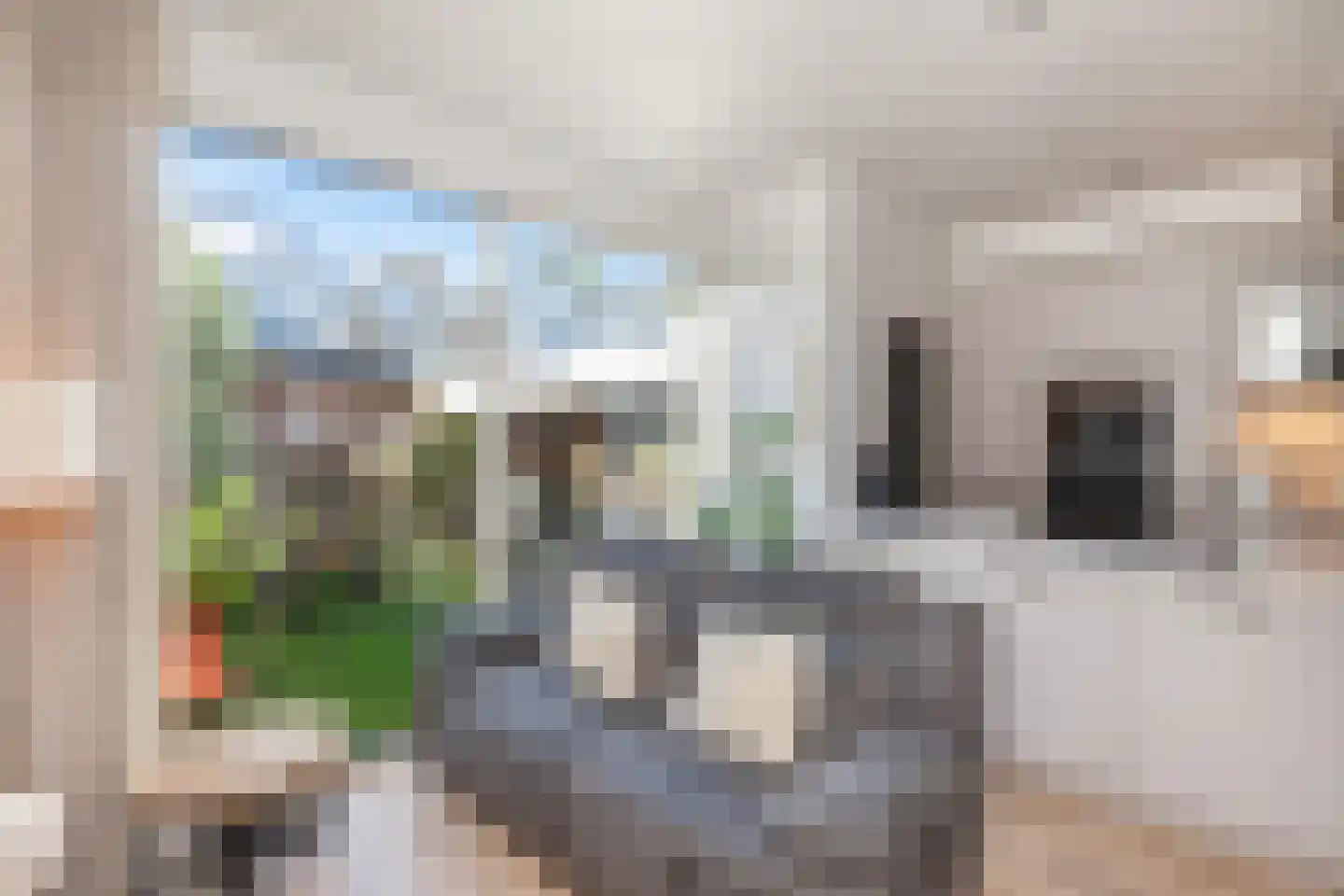 Graaf van Bloisstraat 65 Gouda thumbnail 11