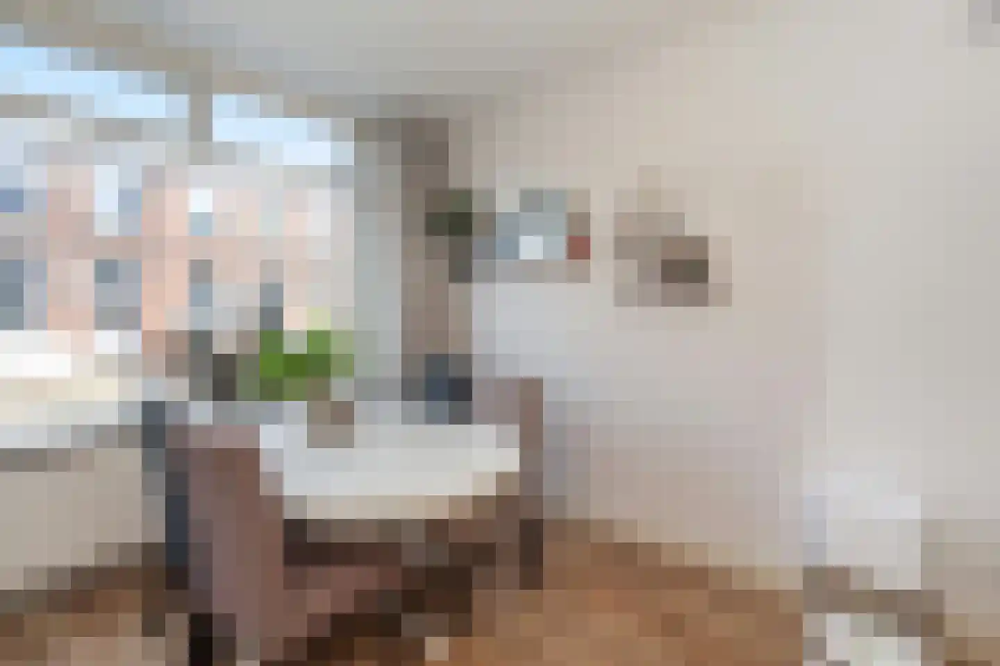 Graaf van Bloisstraat 65 Gouda thumbnail 17