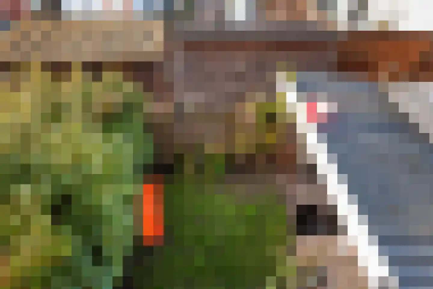 Graaf van Bloisstraat 65 Gouda thumbnail 36