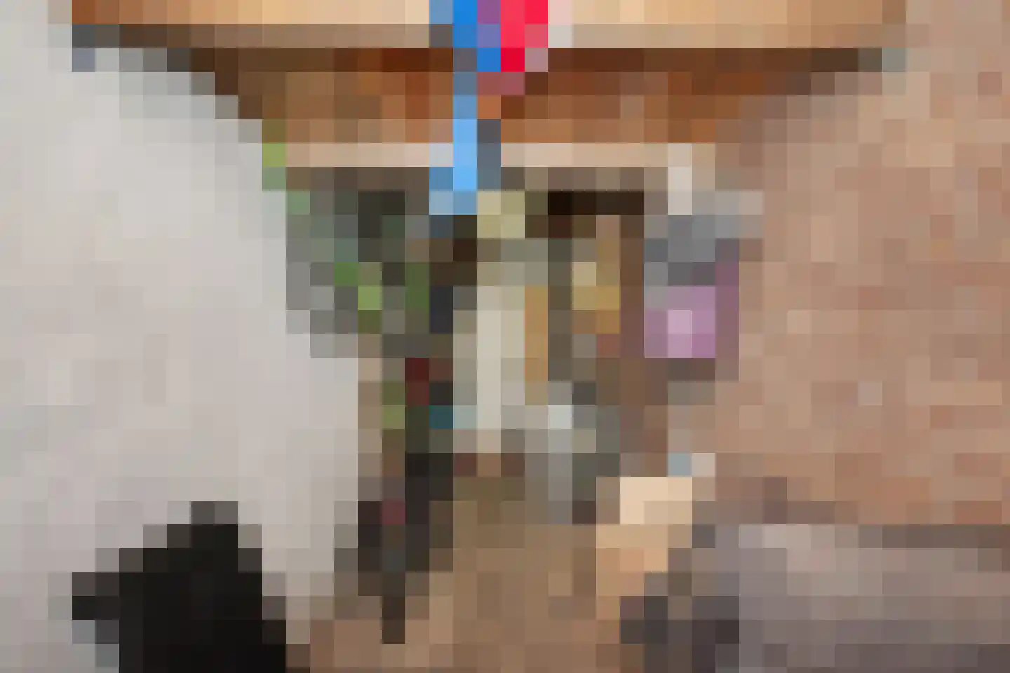 Graaf van Bloisstraat 65 Gouda thumbnail 37