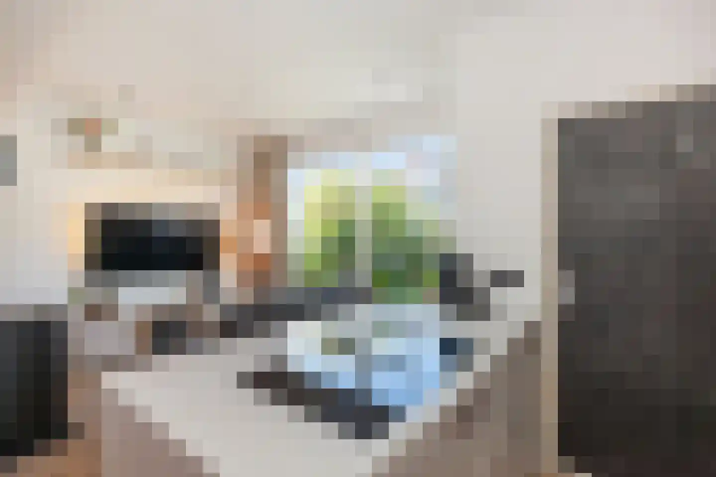 Graaf van Bloisstraat 65 Gouda thumbnail 8