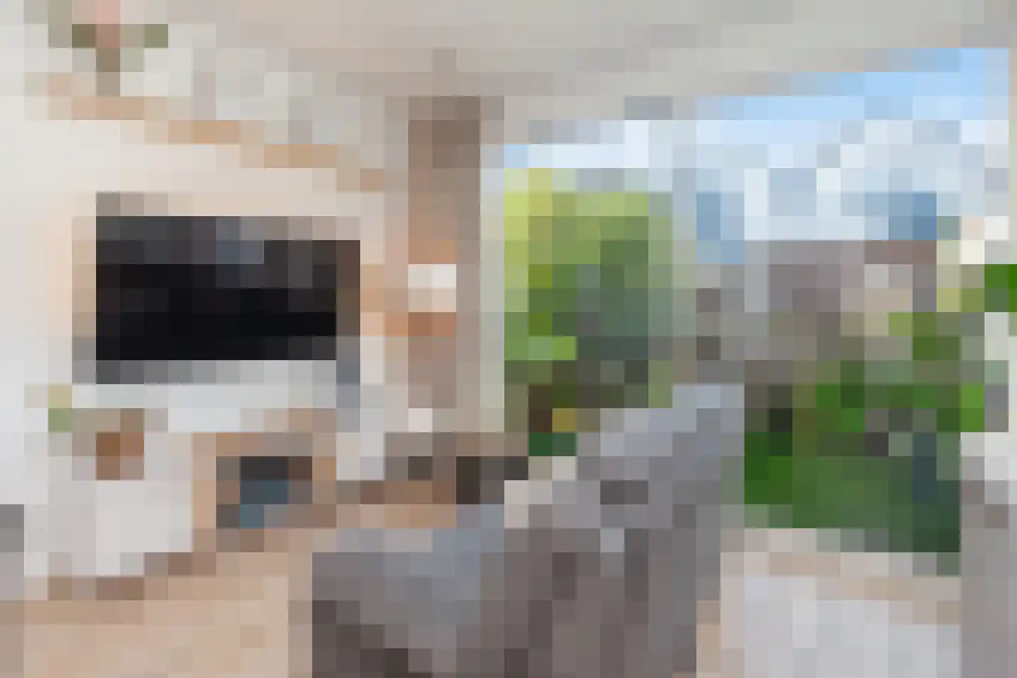 Graaf van Bloisstraat 65 Gouda thumbnail 9
