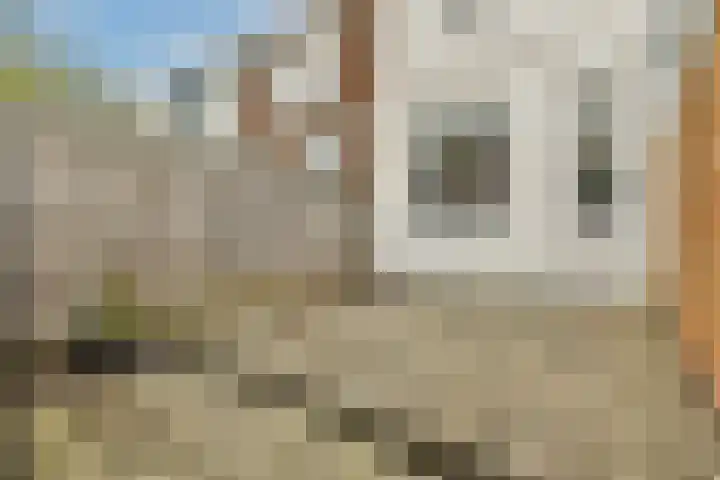 Graaf van Bloisstraat 83 Gouda thumbnail 20