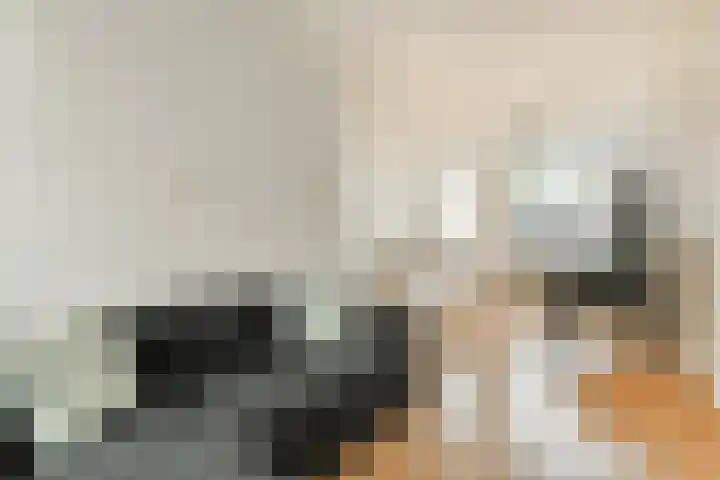 Graaf van Bloisstraat 83 Gouda thumbnail 8