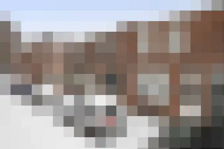 Graaf van Bloisstraat 84 Gouda thumbnail 27