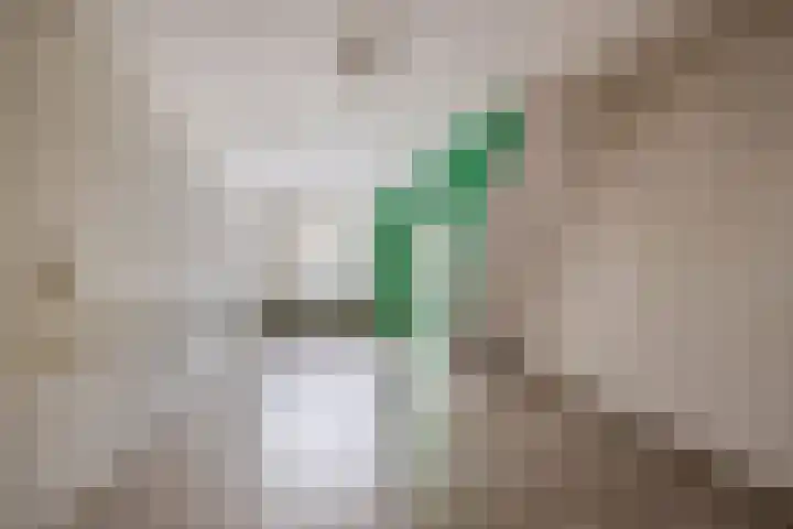 Graaf van Bloisstraat 84 Gouda thumbnail 6