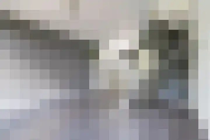 Graaf van Bloisstraat 87 Gouda thumbnail 4