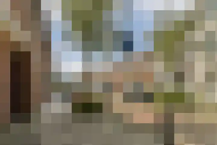 Graaf van Bloisstraat 95 Gouda thumbnail 30