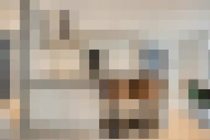 Graaf van Bronkhorststr 2 Gronsveld thumbnail 10