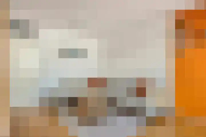 Graaf van Burenstraat 2 F 1 Deventer thumbnail 5