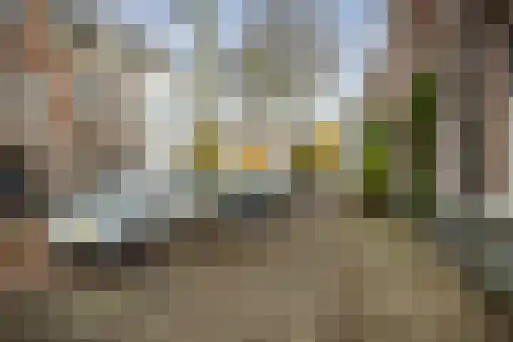 Graaf van Burenstraat 2 F 24 Deventer thumbnail 31