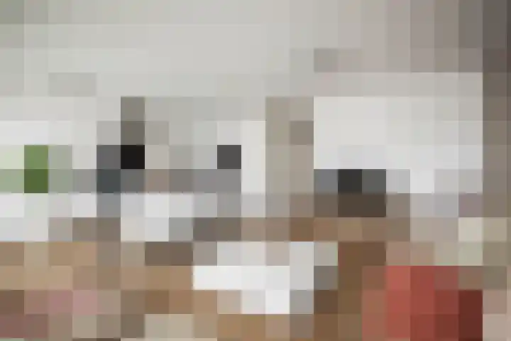 Graaf van Burenstraat 2 F 24 Deventer thumbnail 4