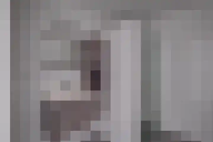 Graaf van Burenstraat 2 F 25 Deventer thumbnail 5