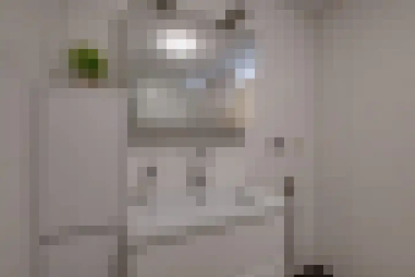 Graaf van Burenstraat 2 F 27 Deventer thumbnail 33