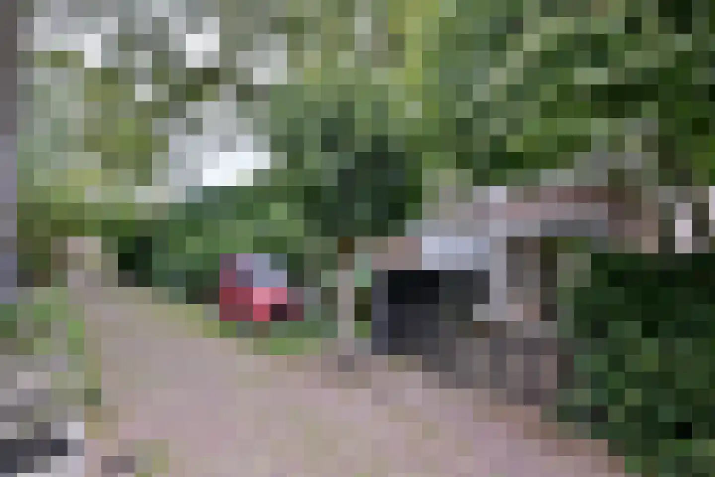 Graaf van Burenstraat 25 Deventer thumbnail 11