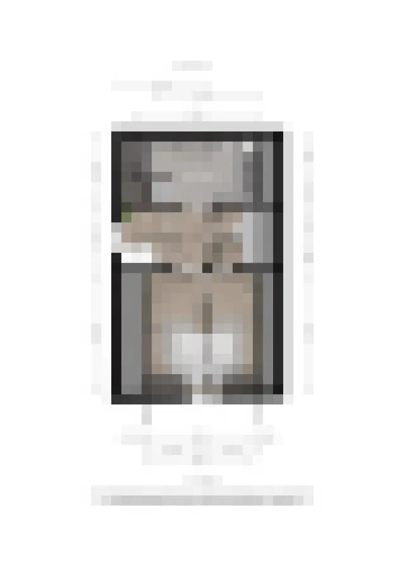 Graaf van Burenstraat 25 Deventer thumbnail 33