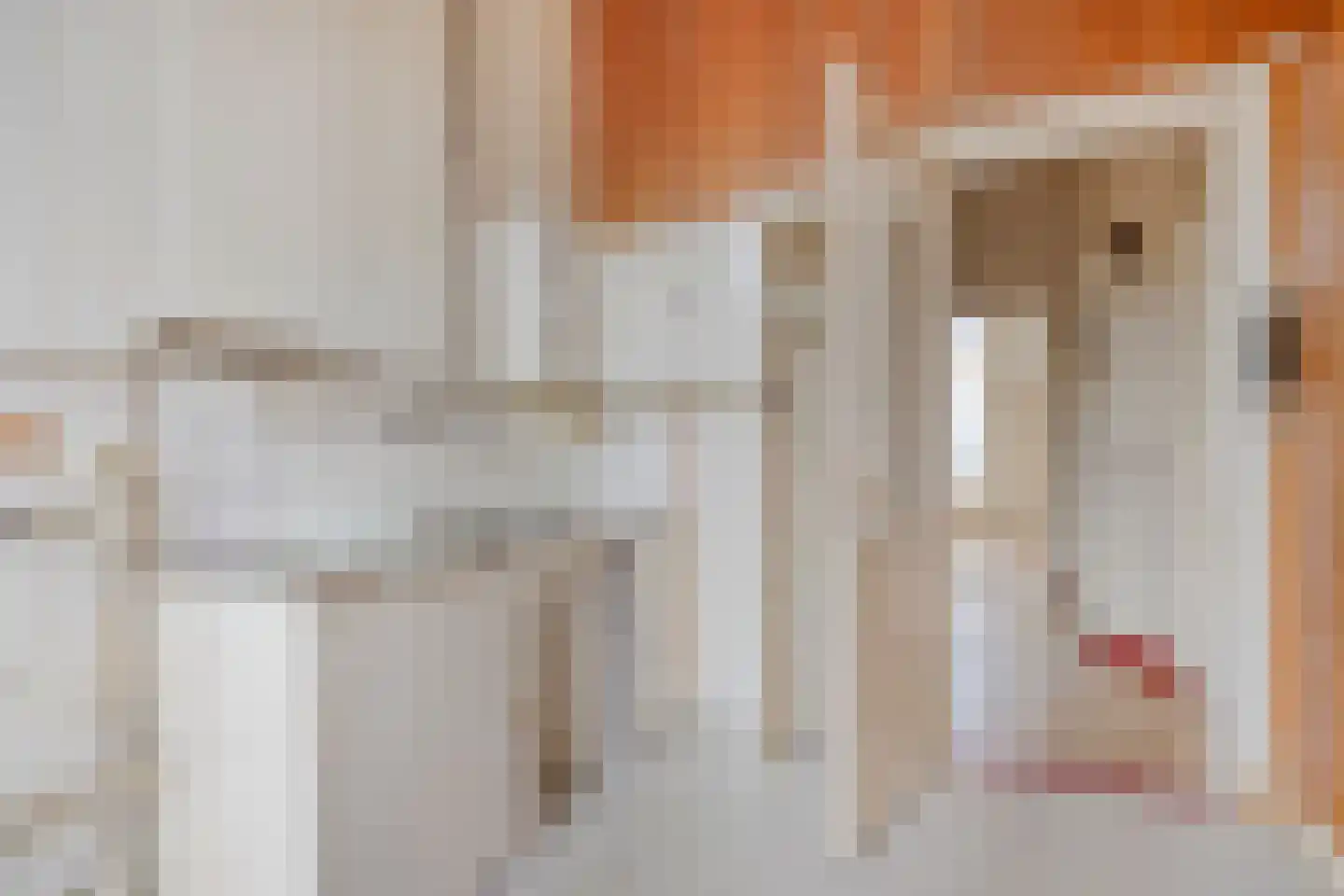 Graaf van Burenstraat 30 Deventer thumbnail 31