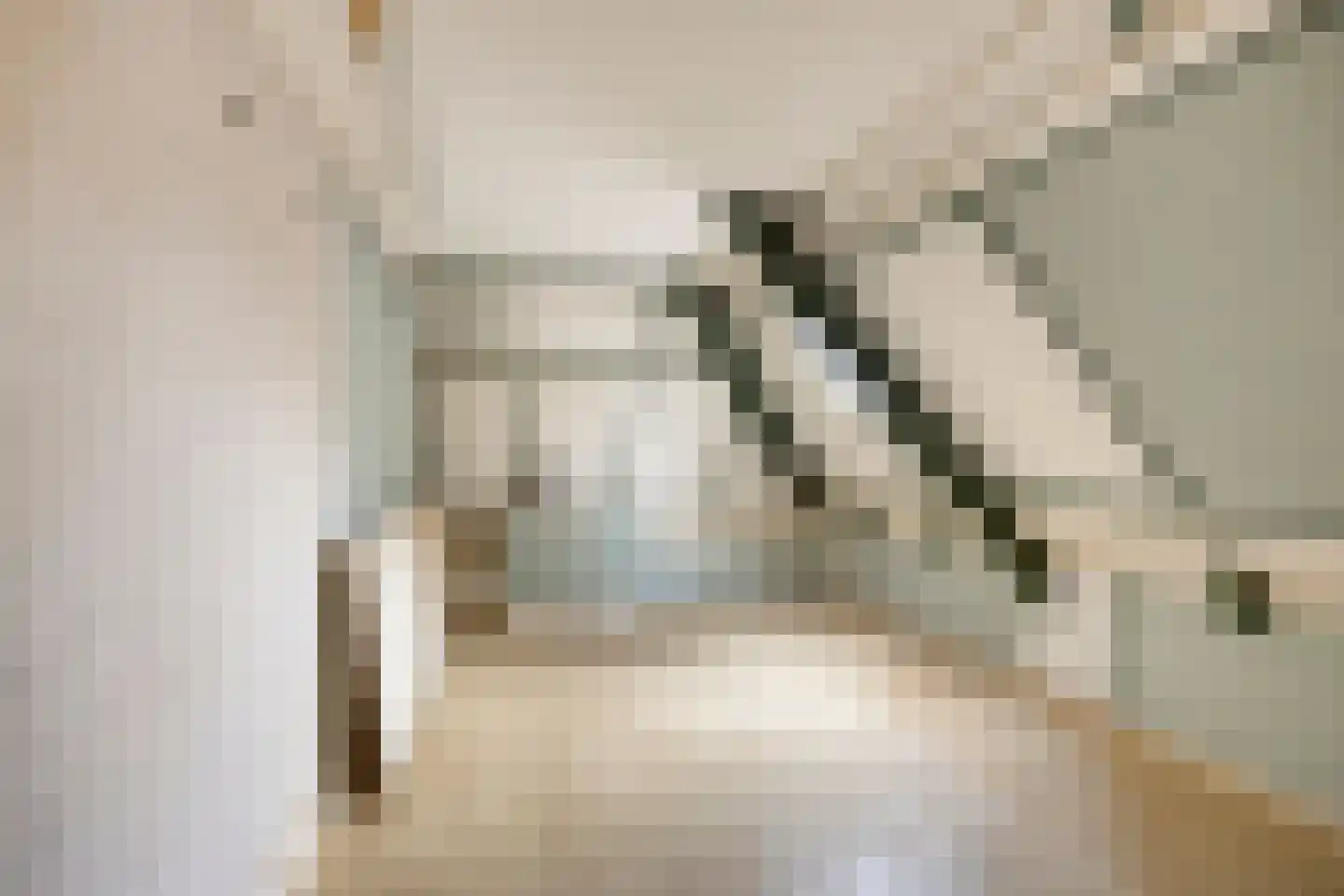 Graaf van Burenstraat 30 Deventer thumbnail 34