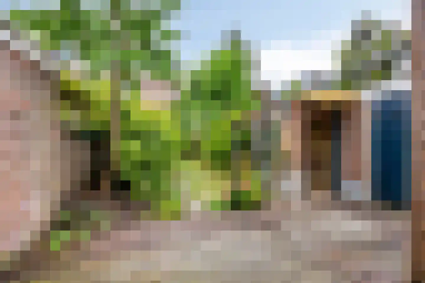 Graaf van Burenstraat 30 Deventer thumbnail 37