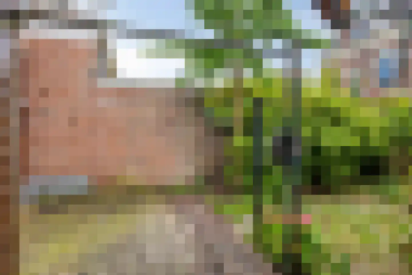 Graaf van Burenstraat 30 Deventer thumbnail 38