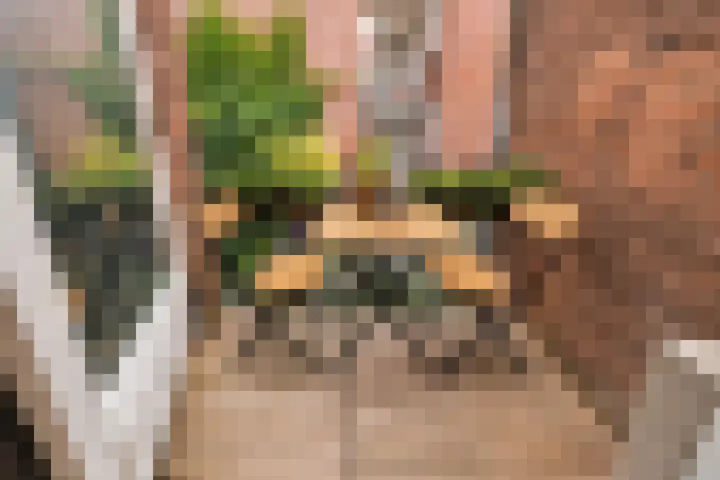 Graaf van Burenstraat 8 Deventer thumbnail 20
