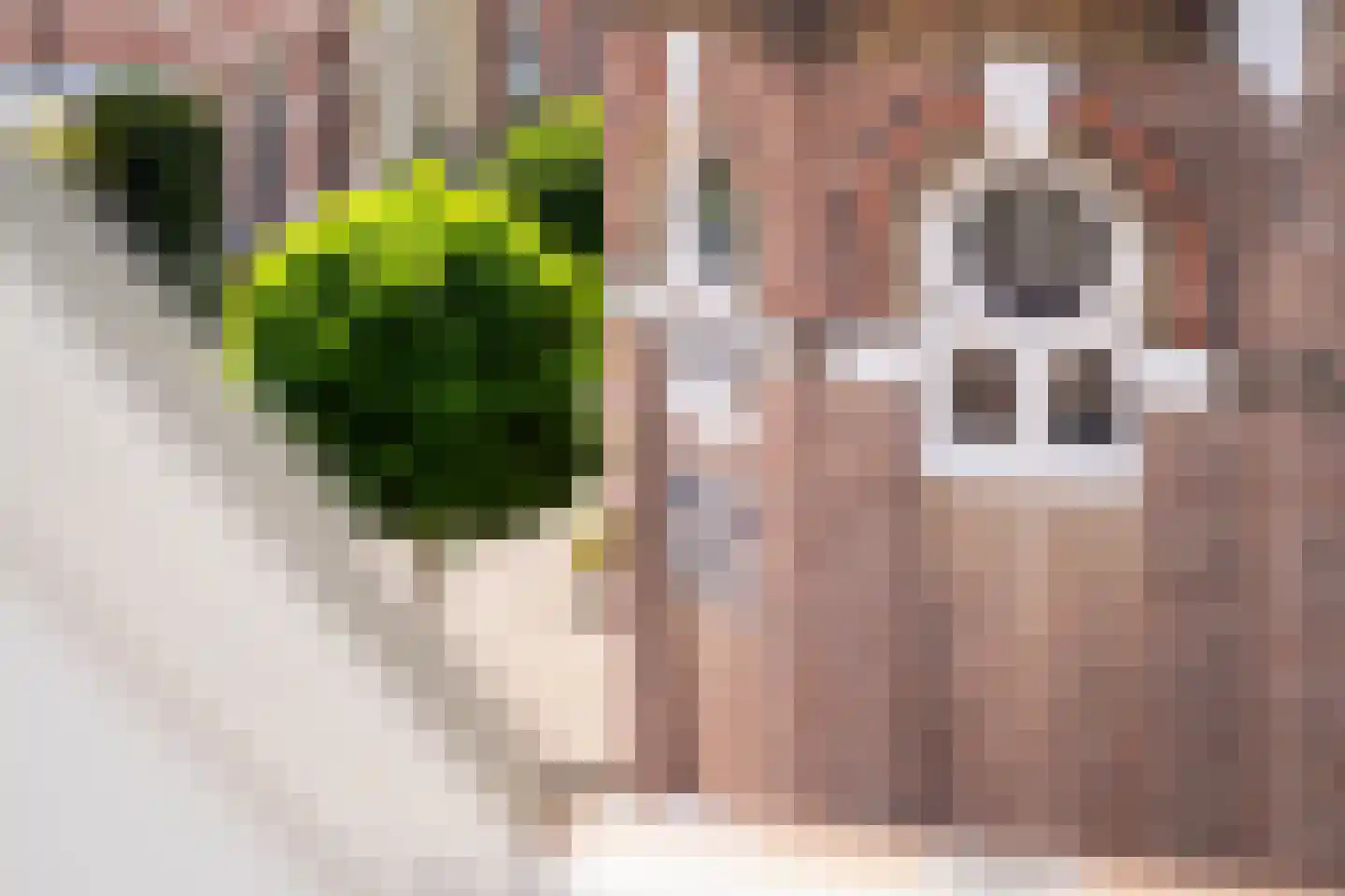 Graaf van Burenstraat 8 Deventer thumbnail 26