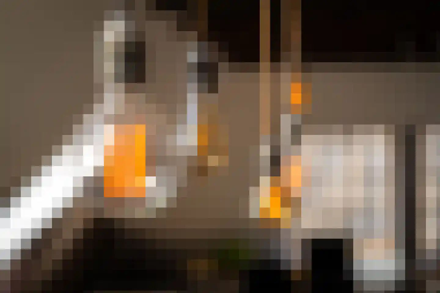 Graaf van Burenstraat 8 Deventer thumbnail 27