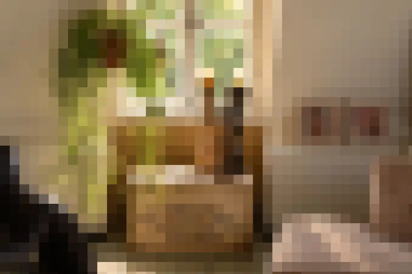 Graaf van Burenstraat 8 Deventer thumbnail 30
