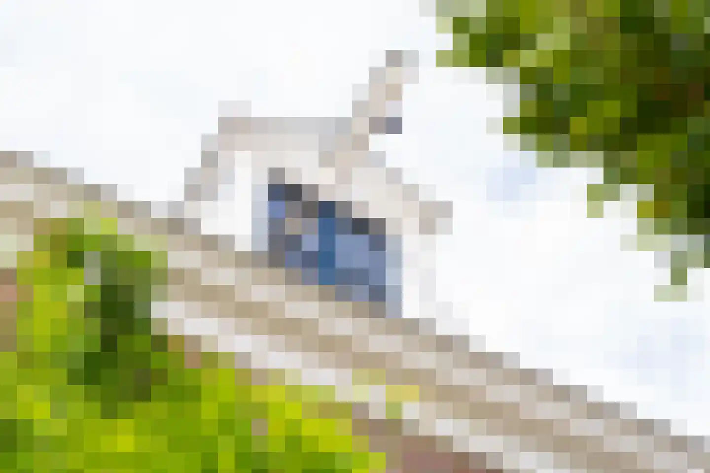 Graaf van Burenstraat 8 Deventer thumbnail 31