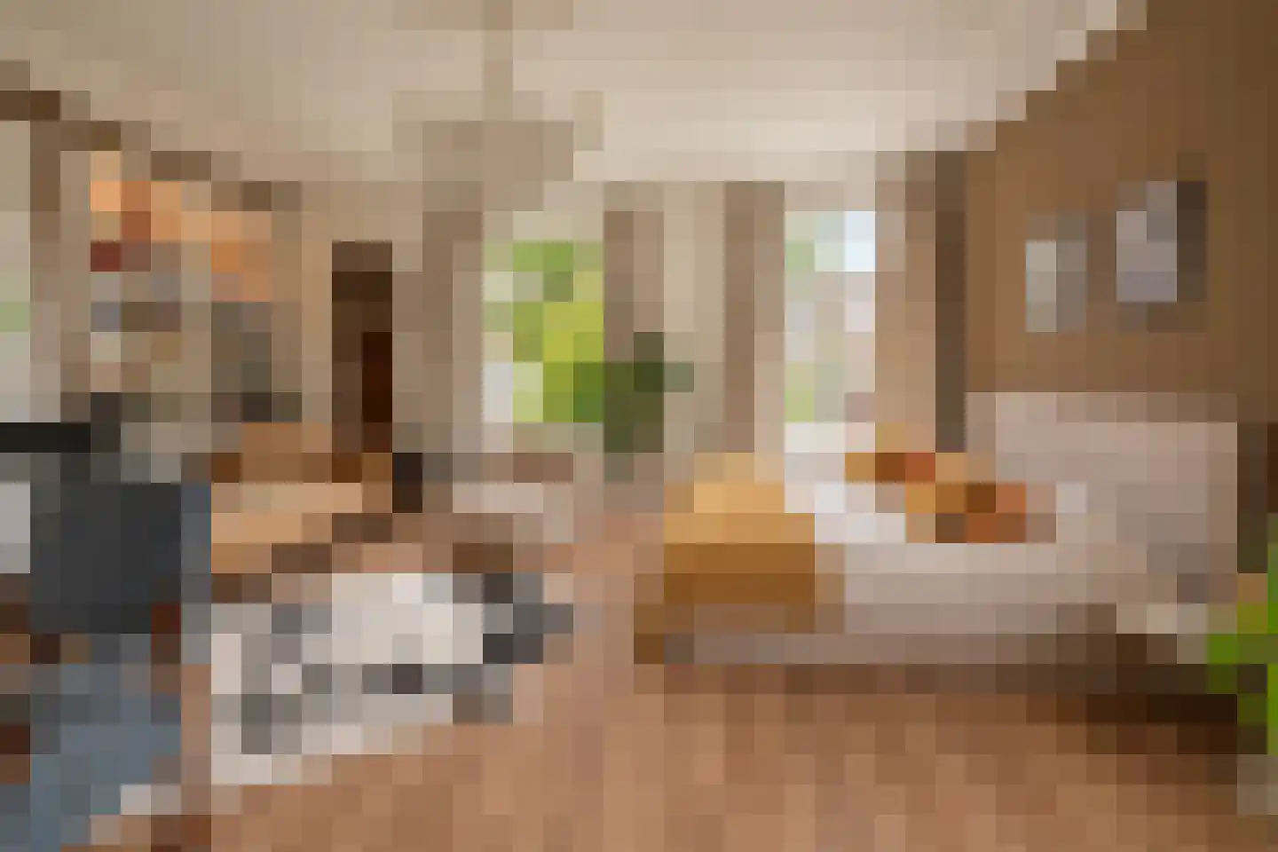 Graaf van Burenstraat 8 Deventer thumbnail 33