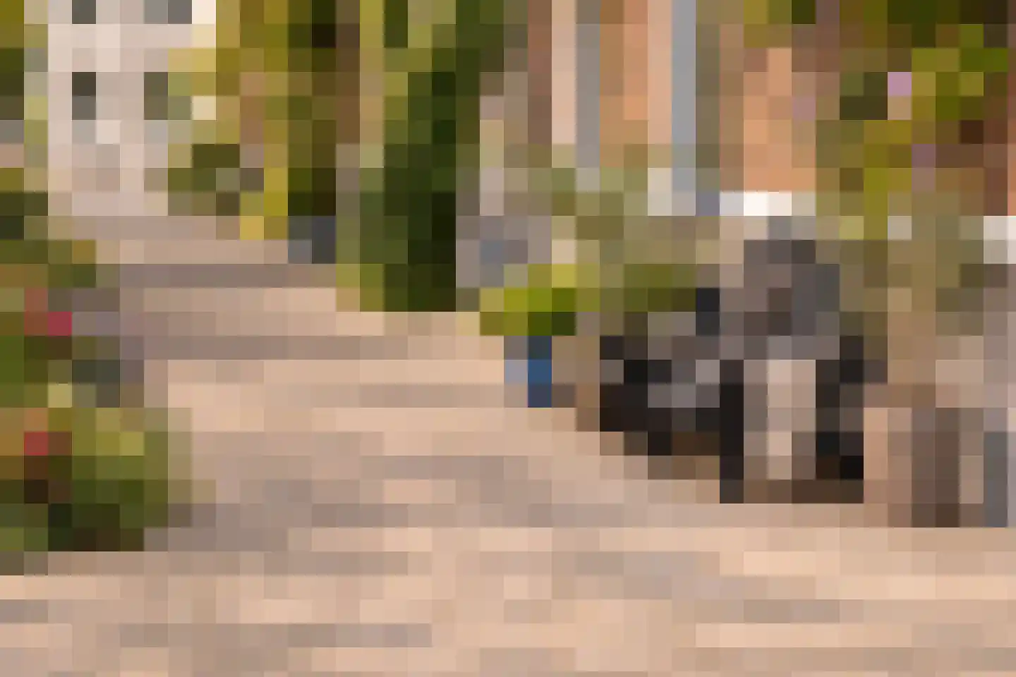 Graaf van Burenstraat 8 Deventer thumbnail 35