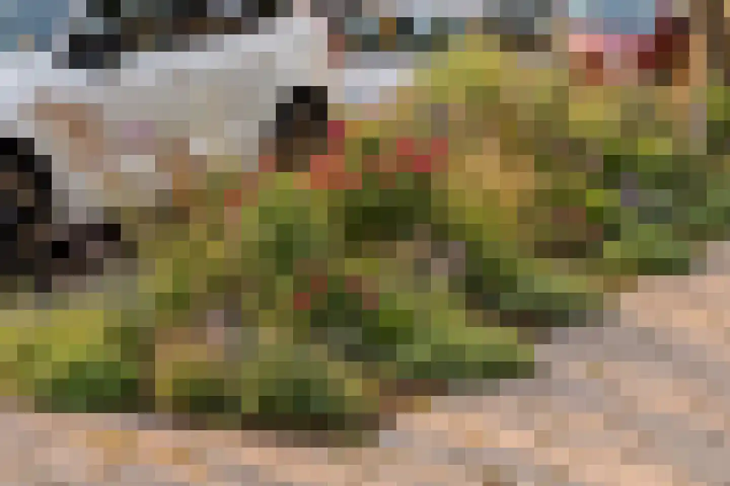 Graaf van Burenstraat 8 Deventer thumbnail 36