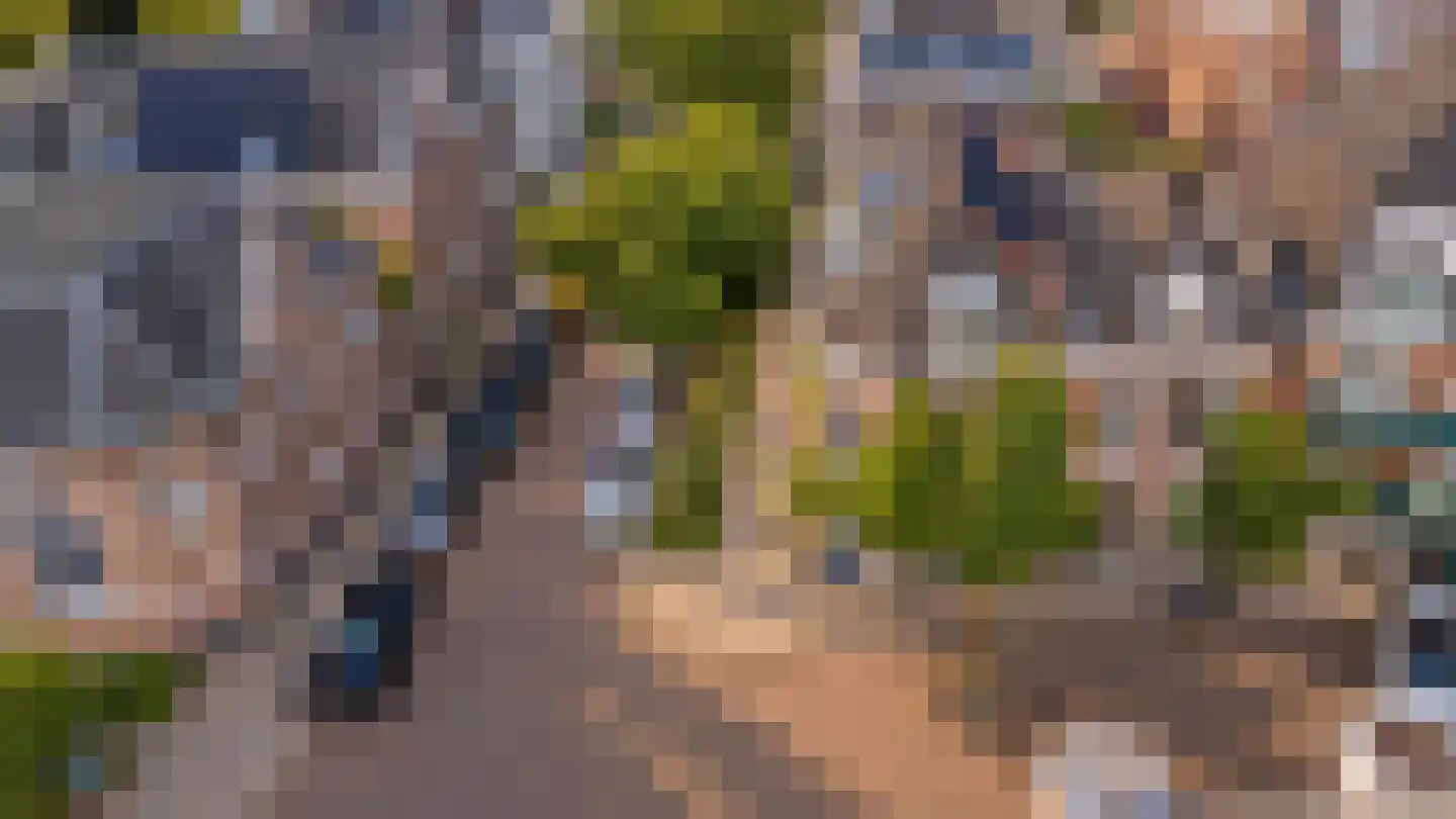 Graaf van Burenstraat 8 Deventer thumbnail 37