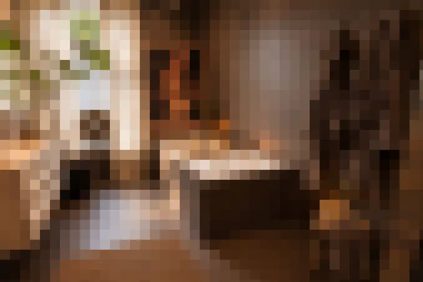 Graaf van Burenstraat 8 Deventer thumbnail 4