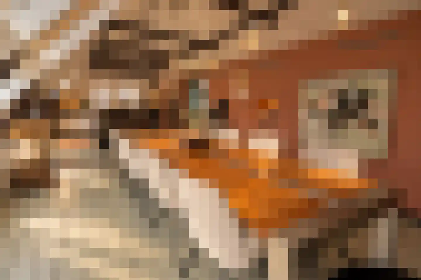 Graaf van Burenstraat 8 Deventer thumbnail 8