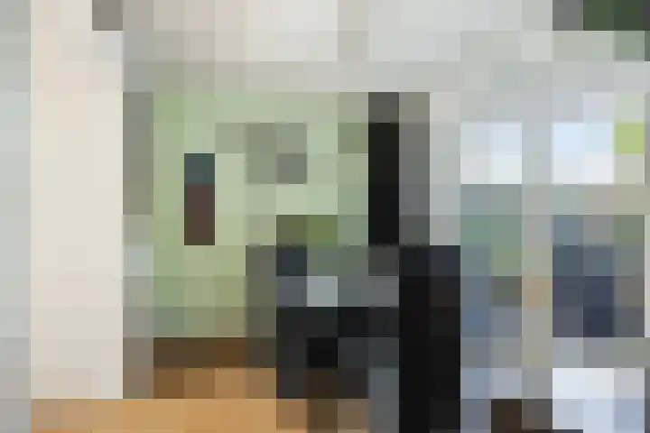 Graaf van Egmondstraat 11 Oud-Beijerland thumbnail 12