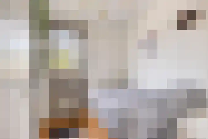 Graaf van Egmondstraat 11 Oud-Beijerland thumbnail 28