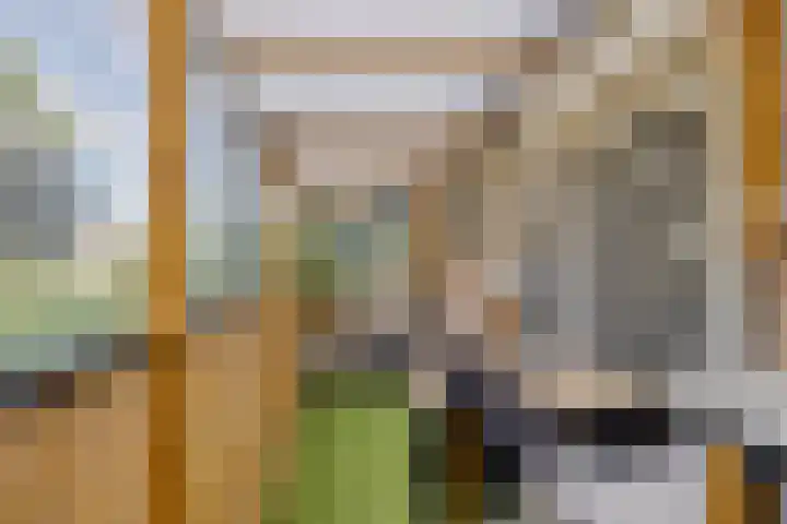 Graaf van Egmondstraat 11 Oud-Beijerland thumbnail 30