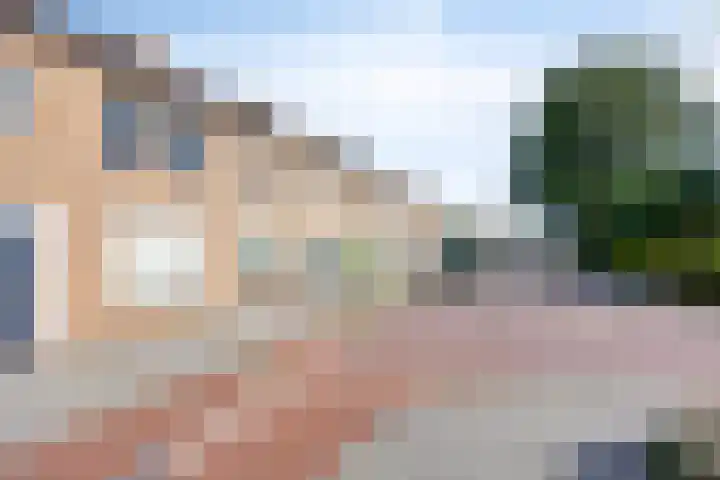Graaf van Egmondstraat 11 Oud-Beijerland thumbnail 41