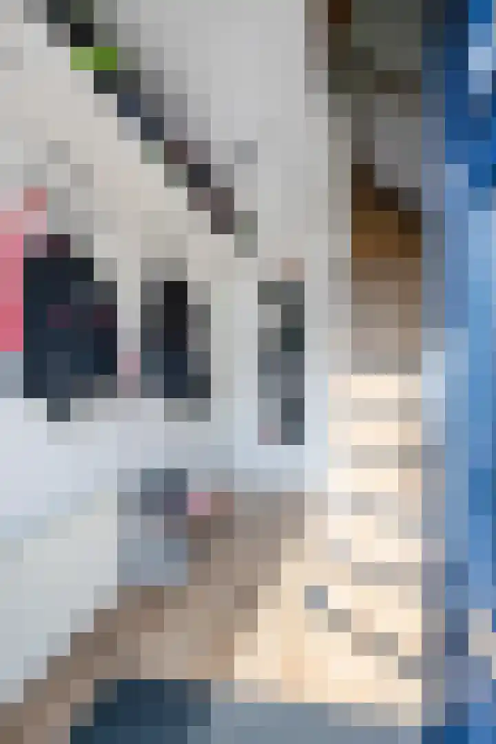 Graaf van Egmondstraat 11 Oud-Beijerland thumbnail 8